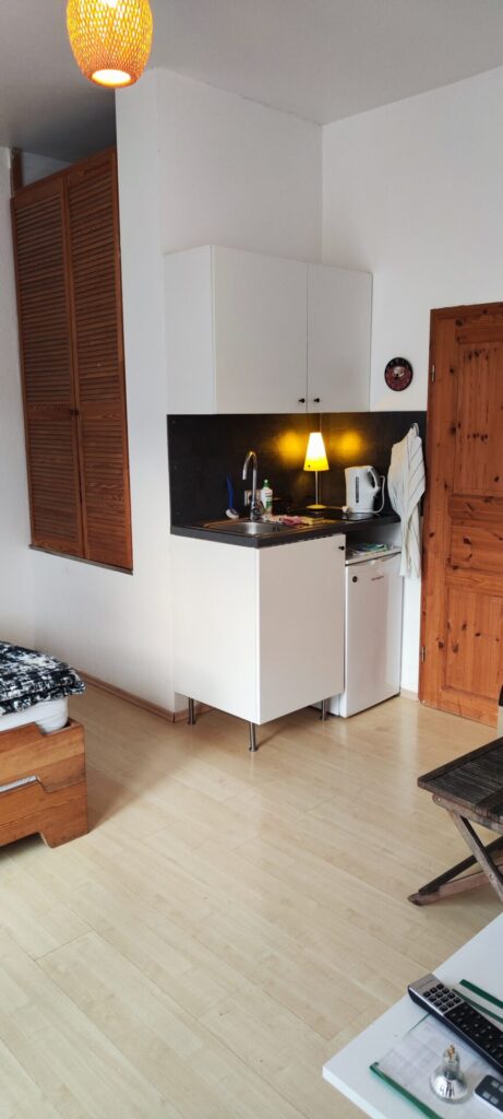 Küche_mit_Induktionskochfeld_Kuehlschrank_Spuele