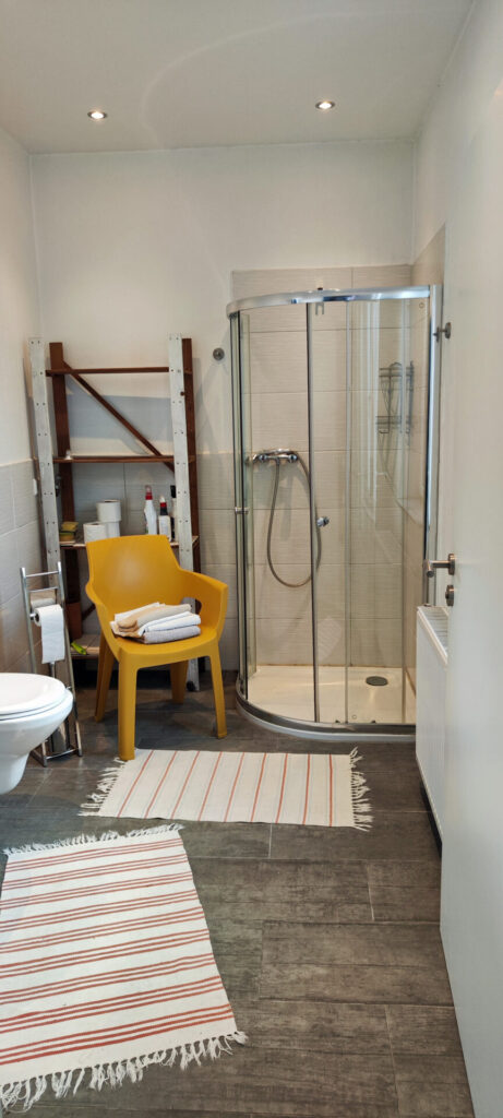 Bad_mit_Dusche_WC_Waschbecken