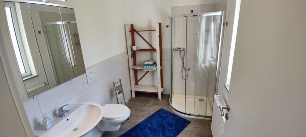 Bad_mit_Dusche_WC_Waschbecken